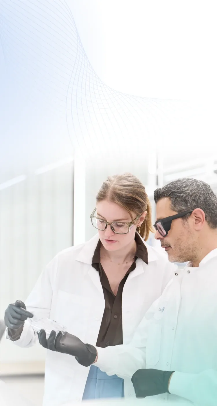 Woman looking up banner image