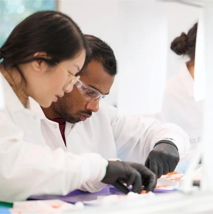 Medical researchers working together